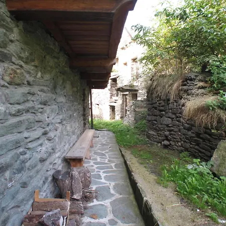 La Grand Maison De Graines Allesa